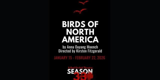 Birds of North America Written by Anna Ouyang Moench