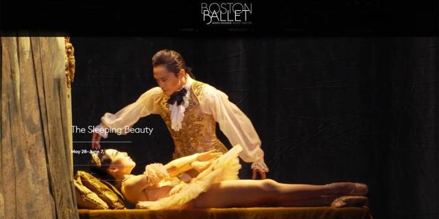 The Sleeping Beauty