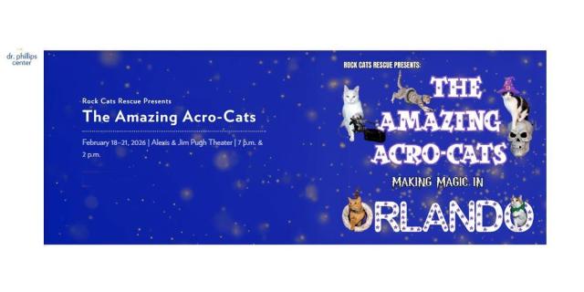 The Amazing Acro-Cats