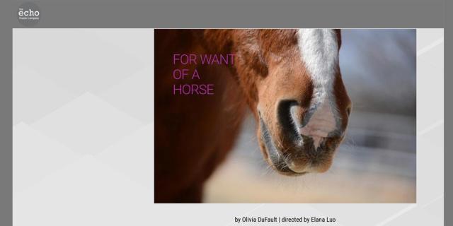 FOR WANT OF A HORSE by Olivia DuFault