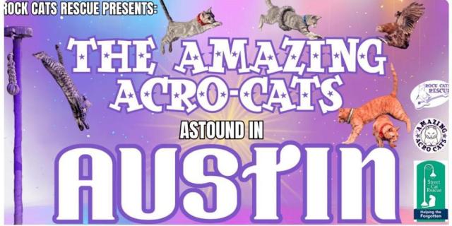 Event Details The Amazing Acro-Cats