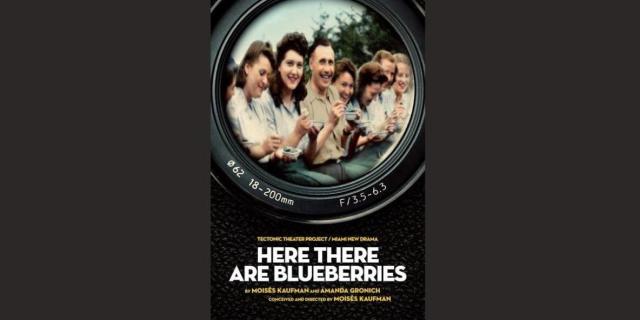 Here There Are Blueberries By Moisés Kaufman & Amanda Gronich