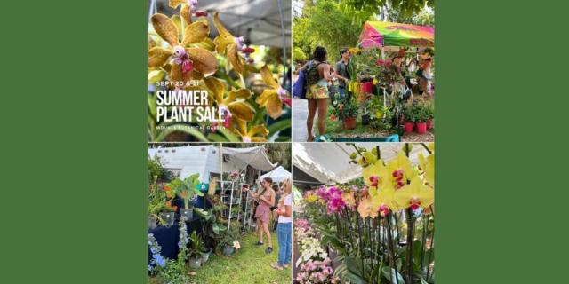 Seasonal Plant Sales