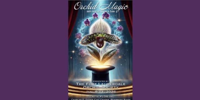 Orchid Magic