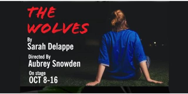 The Wolves By  Sarah DeLappe