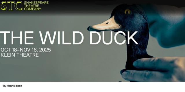 The Wild Duck