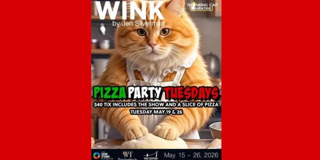 WINK by Jen Silverman